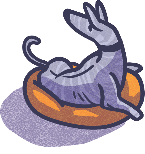 A cartoon of Argos, a grey striped whippet, curled up in an orange dog bed.