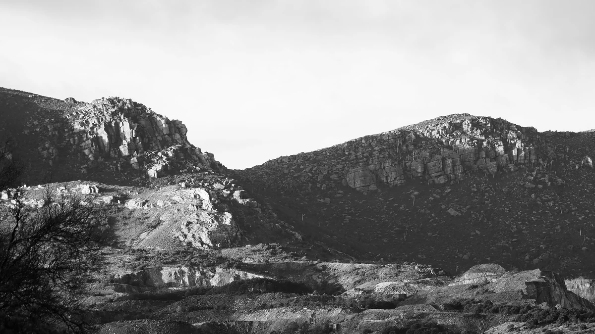 Monthly Update: Mar '26