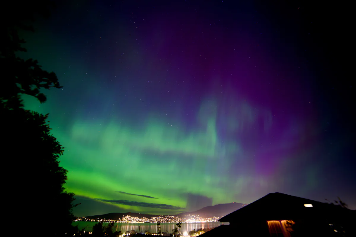 Monthly Update: Jan '26