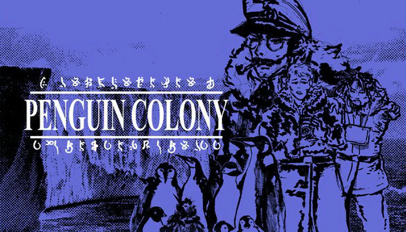 Penguin Colony